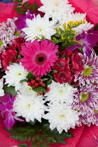Banda Różnych Chryzantemy Piękne Kwiatowe Tło Bliska Jesienne Kwiaty Sezonowe — Zdjęcie stockowe
