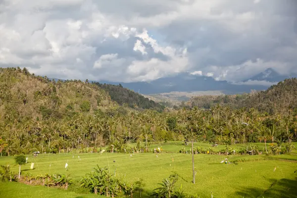 Hegyi Táj Bali Sziget Természete Hegyek Rizsföldek Egy Napos Reggelen — Stock Fotó