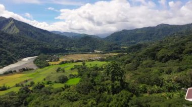 Pirinç tarlaları olan dağ manzarası. Dağlar ve pirinç teraslı güzel bir vadi..