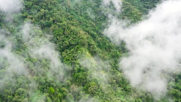 Mountain peaks are covered with rainforest and clouds. Rain clouds in a tropical climate. — Stock Video