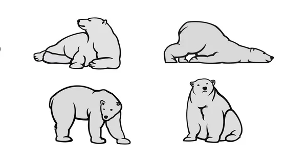 Lední medvěd vektorové ilustrace — Stockový vektor