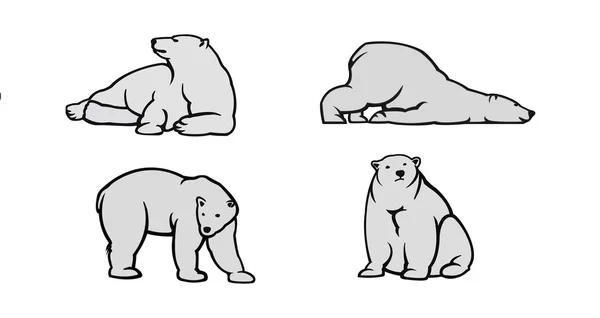 Oso polar Vector Ilustración — Archivo Imágenes Vectoriales