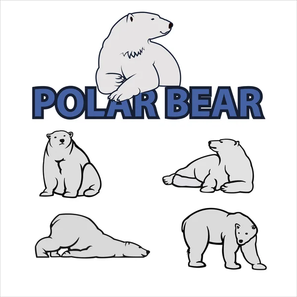 Oso polar Vector Ilustración — Archivo Imágenes Vectoriales