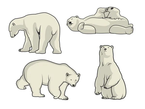 Ilustração do vetor do urso polar — Vetor de Stock