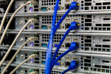 Ağ anahtarı ve ethernet kabloları
