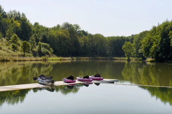 Canoas rosadas en hermoso lago —  Fotos de Stock