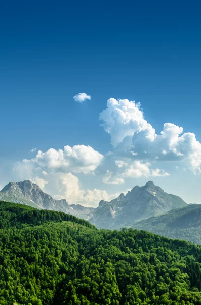 Şaşırtıcı kayalık dağ Durmitor Milli Parkı, Karadağ