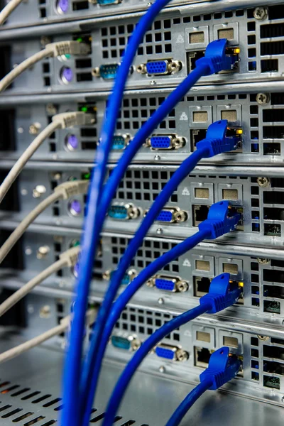 Ağ anahtarı ve ethernet kabloları