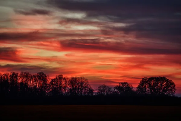 Sunset bosque silueta rojo cielo caída — Foto de Stock