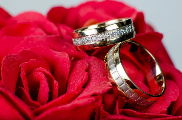 Anillos de boda y pétalos de rosas borgoña — Foto de Stock