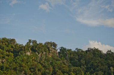 Her zaman yeşil orman ve mavi Tayland tepesi