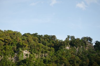 Her zaman yeşil orman ve mavi Tayland tepesi