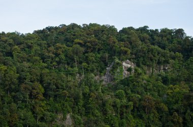 Her zaman yeşil orman ve mavi Tayland tepesi