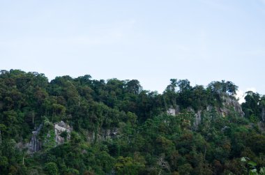 Her zaman yeşil orman ve mavi Tayland tepesi