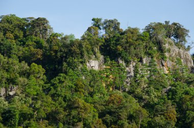 Her zaman yeşil orman ve mavi Tayland tepesi