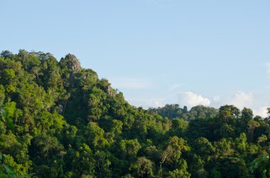 Her zaman yeşil orman ve mavi Tayland tepesi
