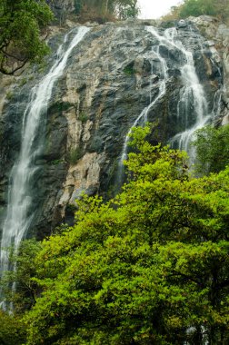 Klong lan şelale mi Tayland, il Kampang phed büyük şelale