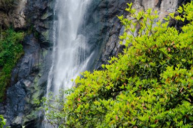Klong lan şelale mi Tayland, il Kampang phed büyük şelale