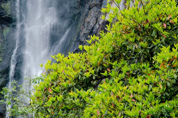 Klong lan Waterfall is big waterfall in thailand ,province Kampang phed