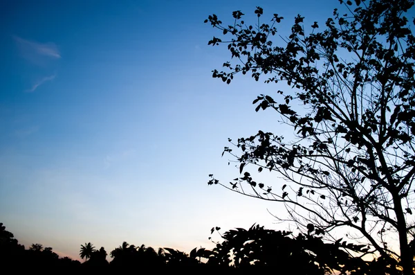Błękitne Niebo Chmurę Sezonie Zimowym Tajskie Ziemie Mają Poczucie Szczęścia — Zdjęcie stockowe