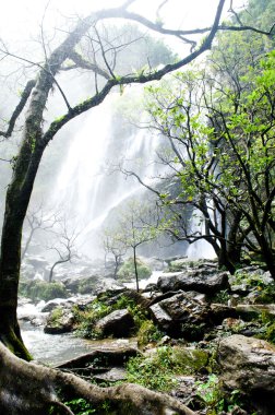 Klong lan şelale mi Tayland, il Kampang phed büyük şelale