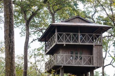 ulus park ve mavi arka plan ormanda