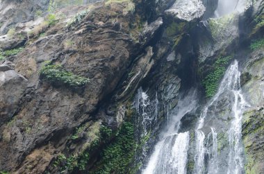 ormanda büyük şelale