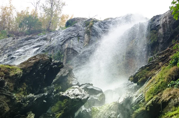 waterfall is big in forest