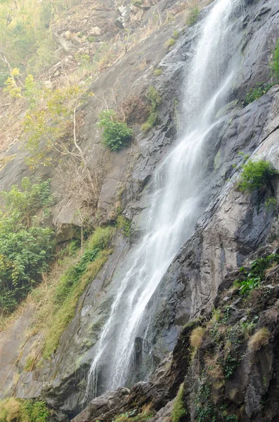 ormanda büyük şelale