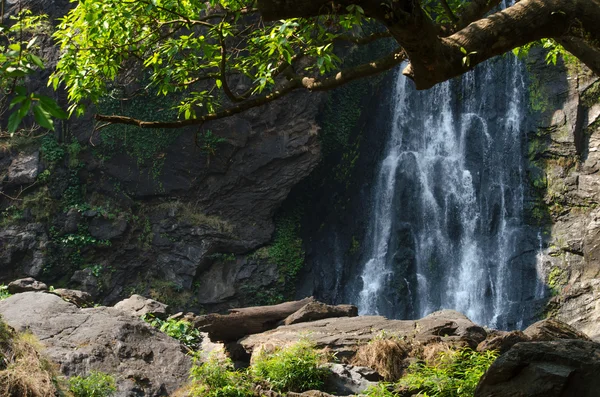 ormanda büyük şelale