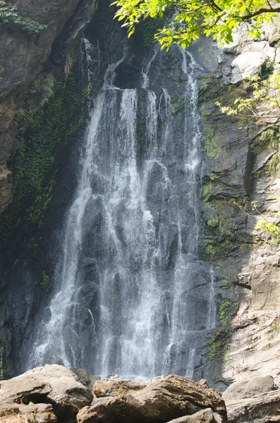 ormanda büyük şelale