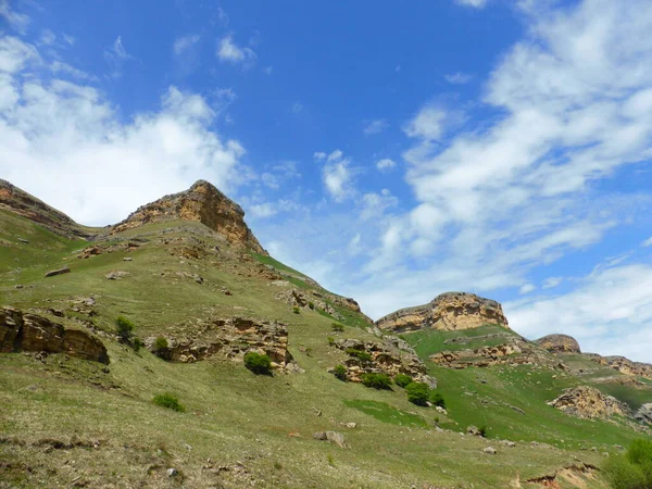 Gorge Van Kauwgom Noordelijke Kaukasus — Stockfoto