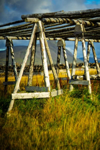 Geleneksel ahşap balıklar arka planda dağlarla İzlanda kırsalında rafları kurutuyorlar.