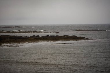 Kayalık kıyıları ve sakin dalgaları olan puslu İzlanda kıyıları