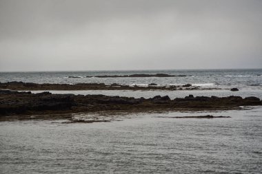 İzlanda kayalık kıyı şeridi bulutlu gökyüzünün altında alçak gelgitte