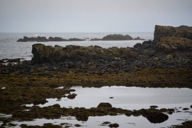 Kayalık İzlanda kıyıları sisli havalarda gelgit havuzları ve okyanus manzaralı