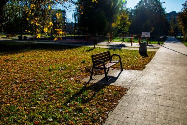 Sonbahar güneşinde sakin bir sabahta boş bir park bankında