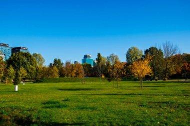 Güneşli bir sonbahar gününde yeşil şehir parkının arkasındaki modern şehir silueti