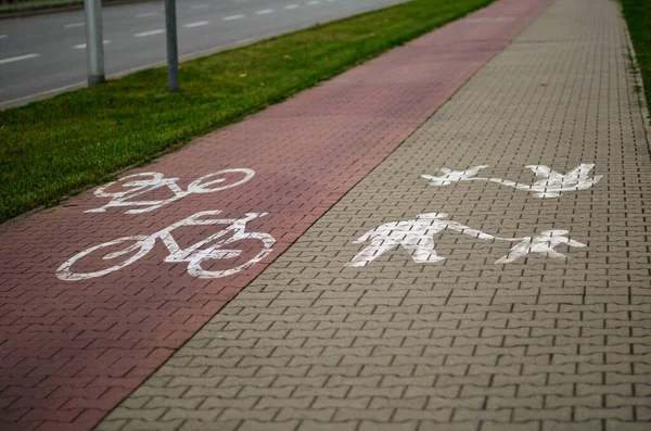 19 Ekim 2025, Varşova, Polonya: Bölünmüş bir kentsel yola yakın çekim: Bir bisiklet yolu (kırmızı asfalt) ve bir yaya yolu (gri asfalt) için boyanmış beyaz sembolleri gösteren bir şehir yolu