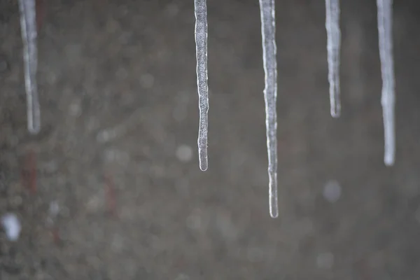 Soğuk kış havasında sarkan şeffaf buz saçakları