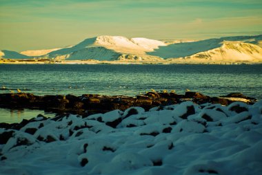 Kış manzaralı karlı dağlar ve kayalıklardaki kuşlar