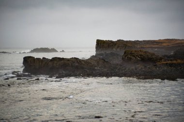 Dalgalar ve Puslarla Rocky İzlanda Sahil Hattı