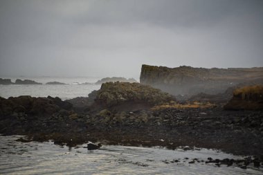 İzlanda 'da Basalt Kayalıkları olan Puslu Kayalık Kıyı Çizgisi