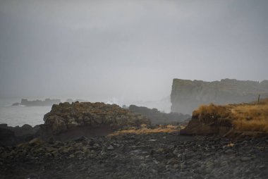 İzlanda 'daki Kayalıklı ve Kuru Çimenli Sisli Kayalık Kıyı Şeridi