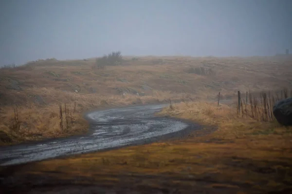Issız İzlanda 'da Issız Virajlı Ülke Yolu