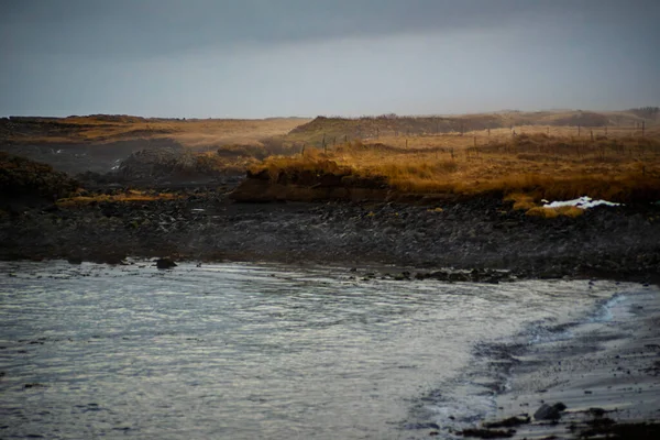 Puslu İzlanda Sahil Hattı Rocky Sahili ve Kuru Çimen