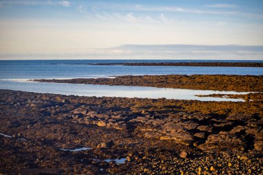 İzlanda 'da gel-git havuzlu Rocky Sahil Hattı