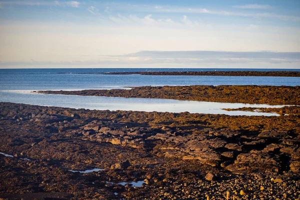 İzlanda 'da gel-git havuzlu Rocky Sahil Hattı