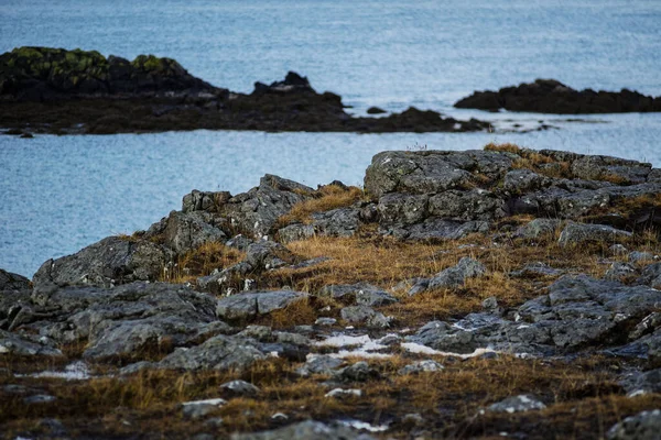 Arka planda okyanus, Akranes ve İzlanda ile Rocky kıyı arazisi