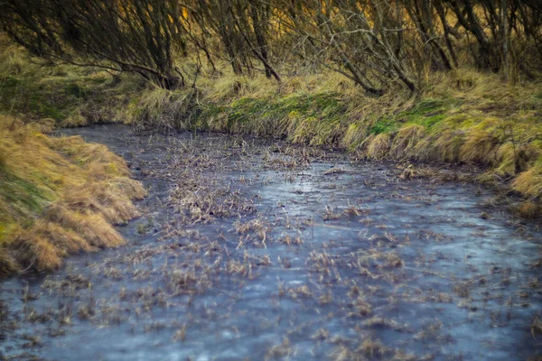 Moody Kış Arazisi 'ndeki Donmuş Akıntı